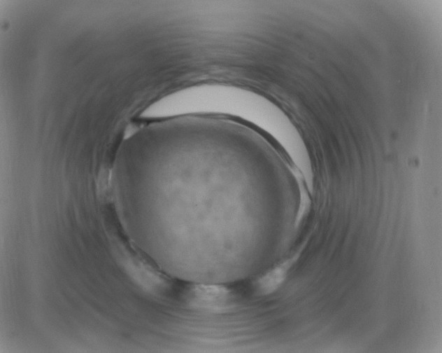 X0000083040429200702231934