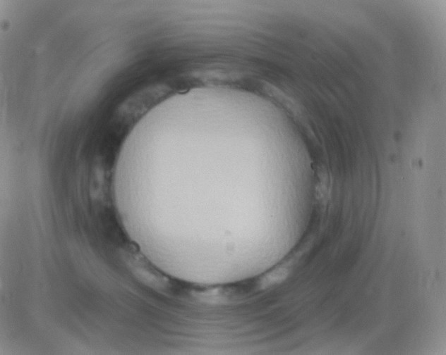 X0000083040430200702231934