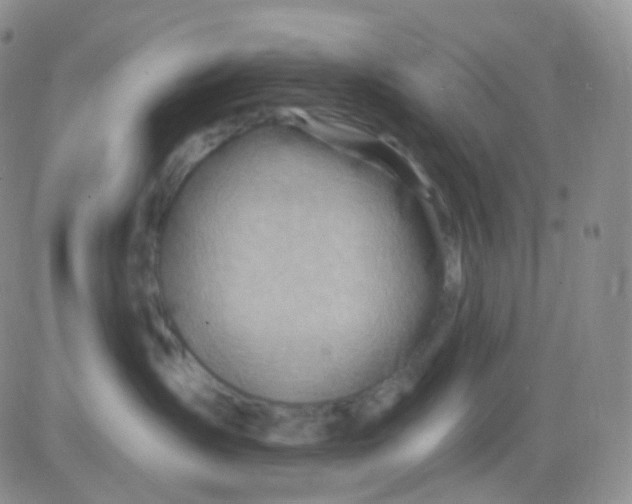 X0000083040431200702231934