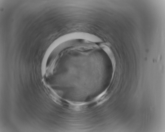 X0000083040432200702231934