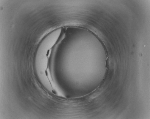 X0000083040434200702231933