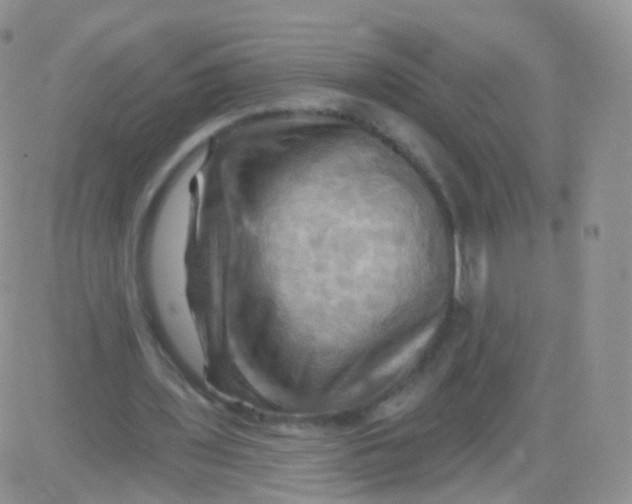 X0000083040435200702231934