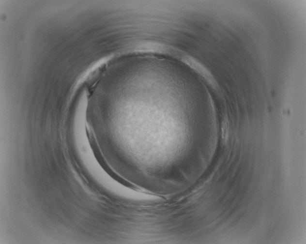 X0000083040436200702231934