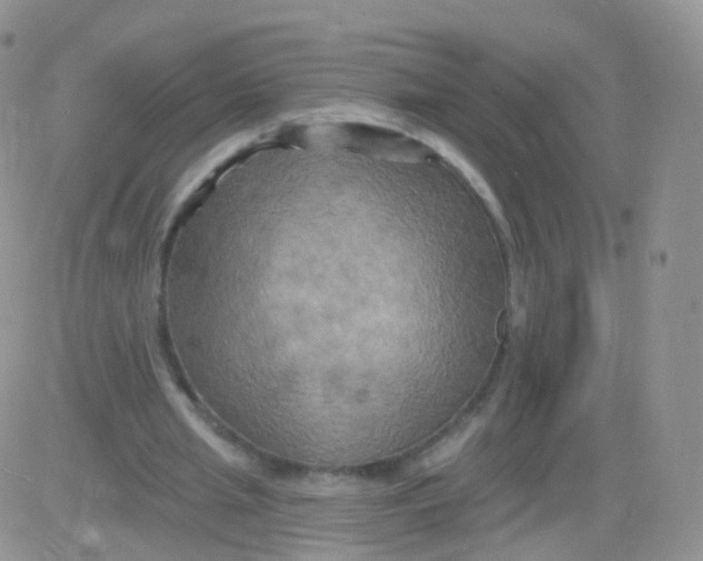 X0000083040437200702231934