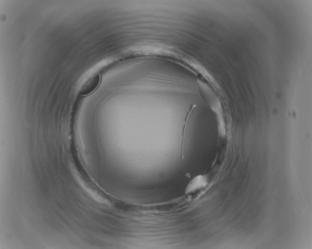 X0000083040438200702231934