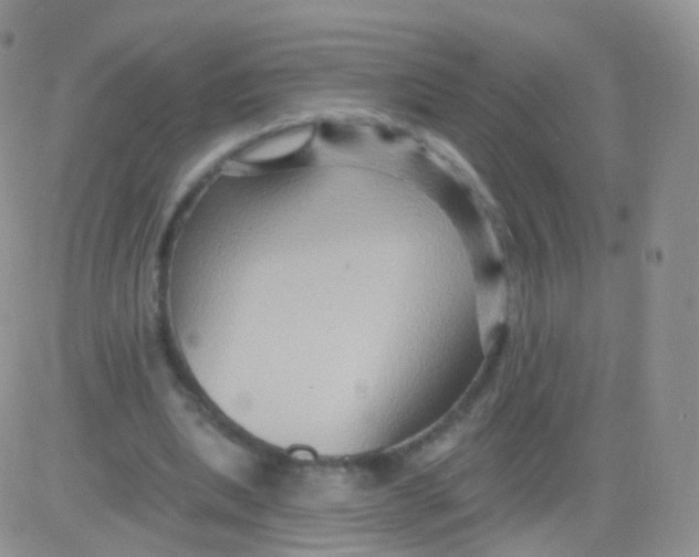 X0000083040439200702231934