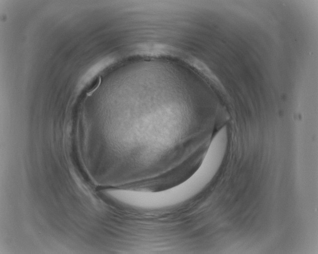 X0000083040440200702231934