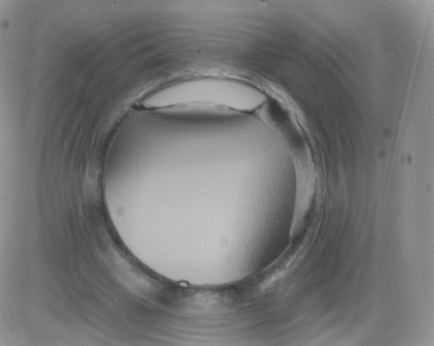 X0000083040441200702231934