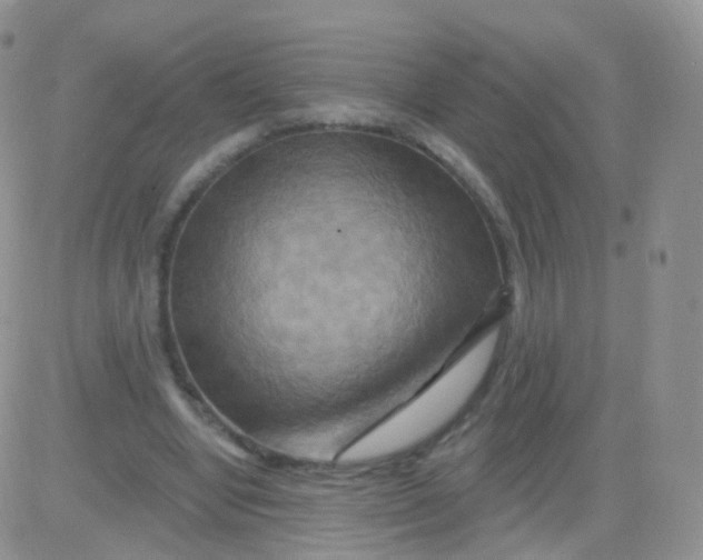 X0000083040442200702231934