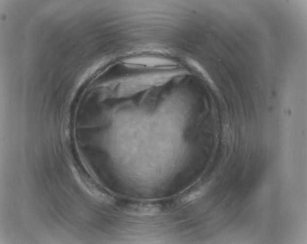 X0000083040443200702231934