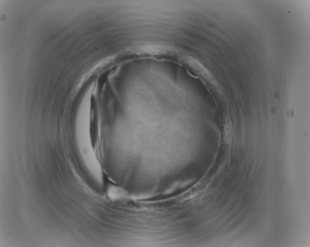 X0000083040444200702231934