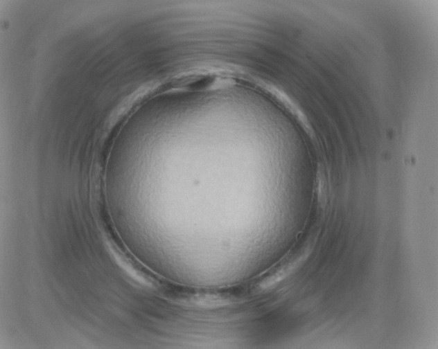 X0000083040445200702231934