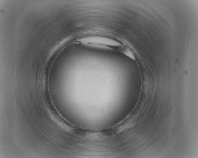 X0000083040446200702231934