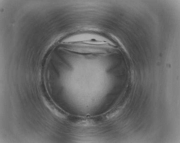 X0000083040447200702231934