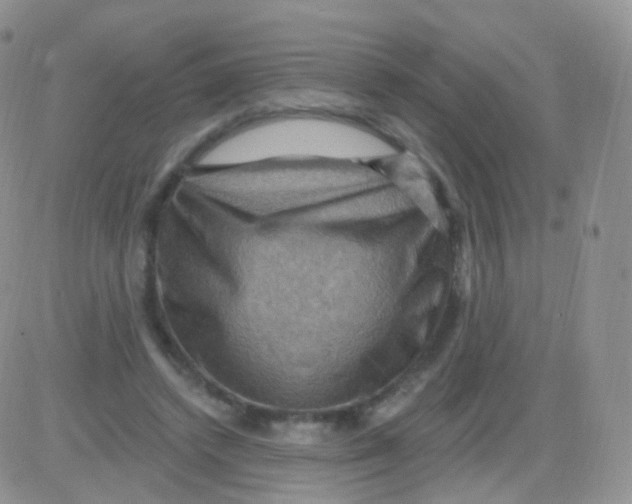 X0000083040448200702231934