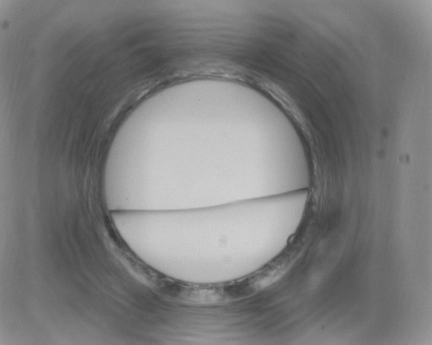 X0000083040449200702231934