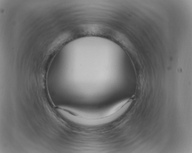 X0000083040450200702231934