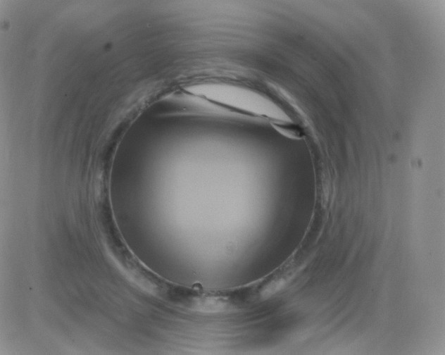 X0000083040451200702231934