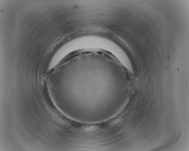 X0000083040452200702231934