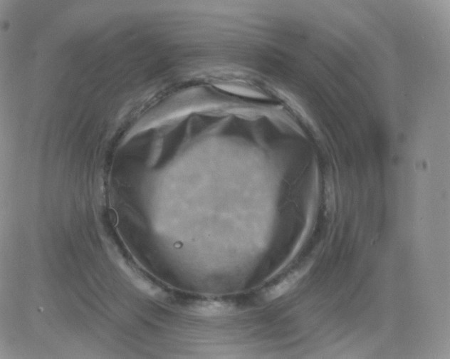 X0000083040453200702231934