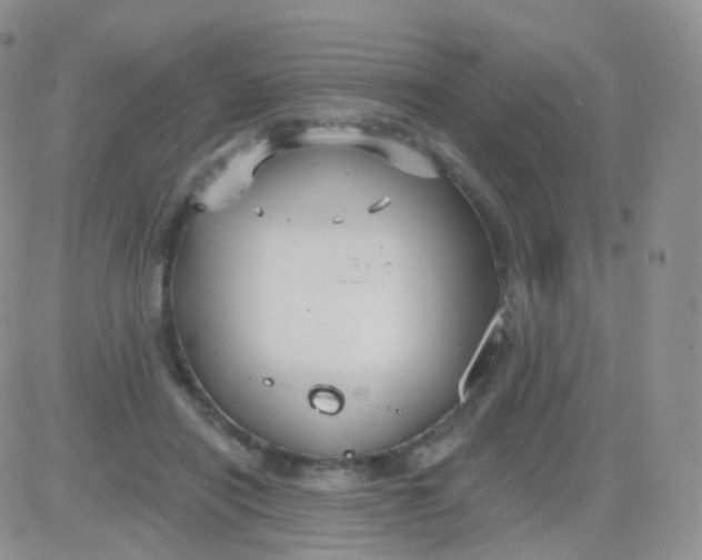 X0000083040454200702231934