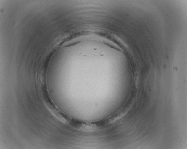 X0000083040455200702231934