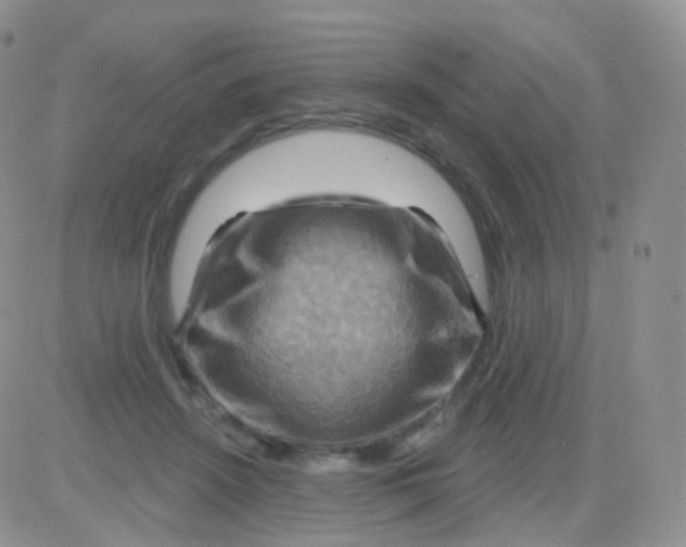 X0000083040456200702231934