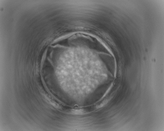 X0000083040457200702231934