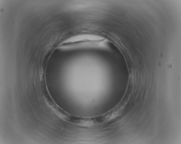 X0000083040458200702231934