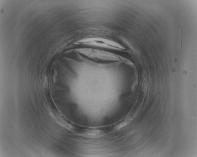 X0000083040459200702231934