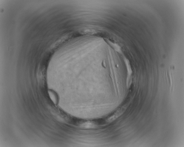 X0000083040460200702231934