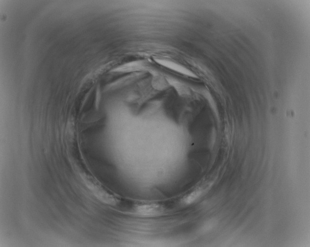 X0000083040461200702231934