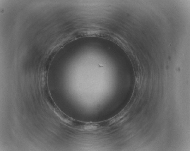 X0000083040462200702231934