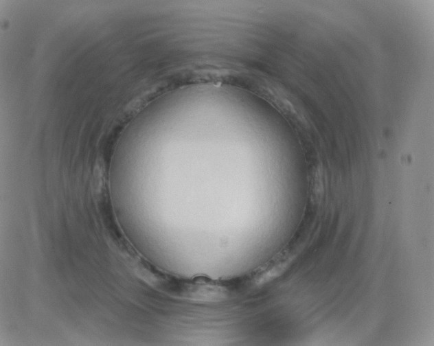 X0000083040463200702231934