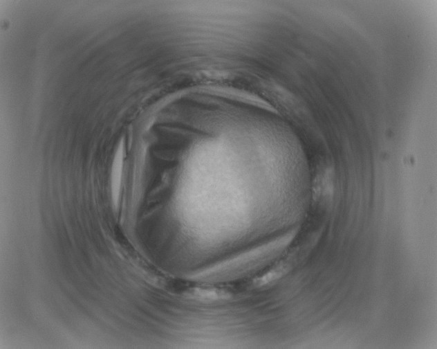 X0000083040464200702231934