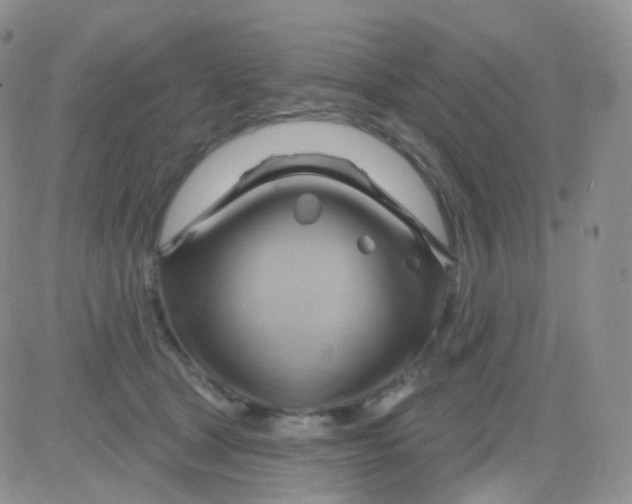 X0000083040465200702231934