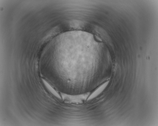 X0000083040466200702231934