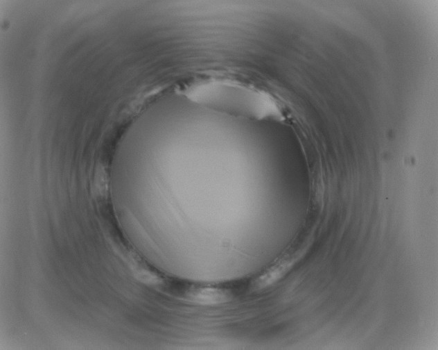 X0000083040467200702231934