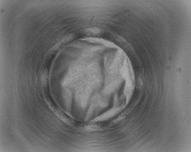 X0000083040468200702231934