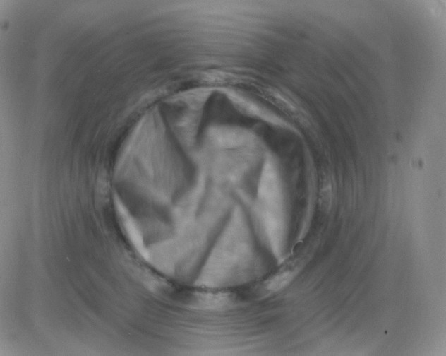 X0000083040469200702231934