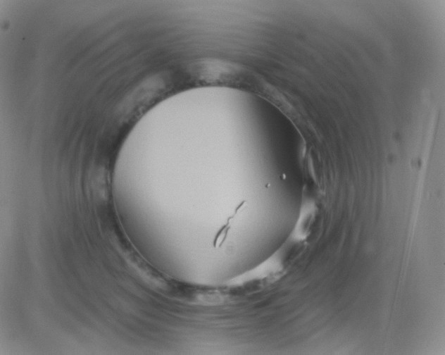 X0000083040470200702231934