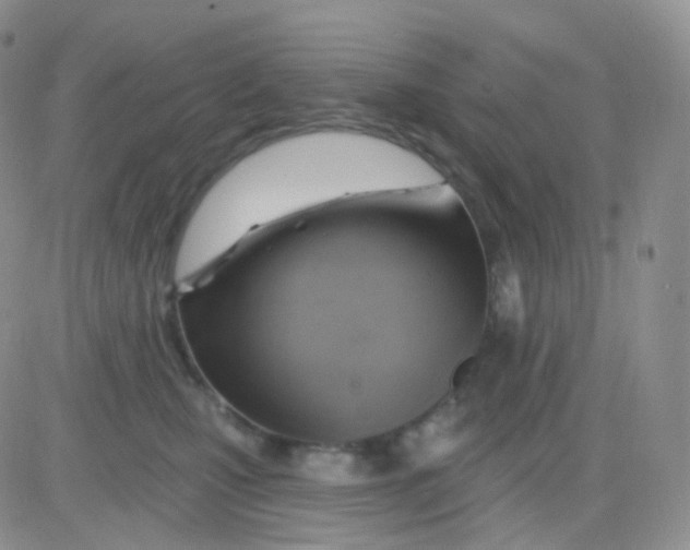 X0000083040471200702231934