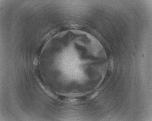 X0000083040472200702231934