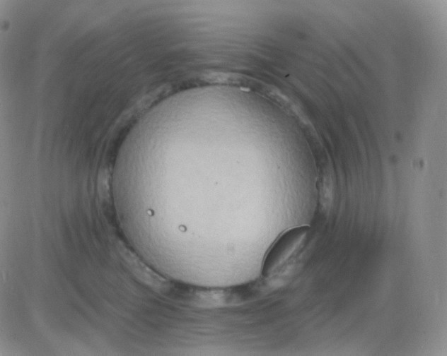 X0000083040473200702231934