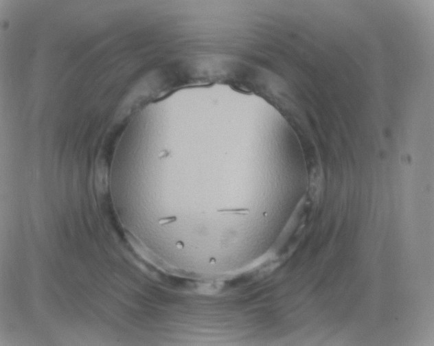 X0000083040474200702231934