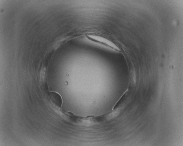 X0000083040475200702231934