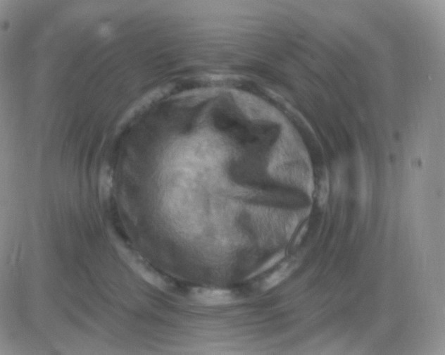 X0000083040476200702231934