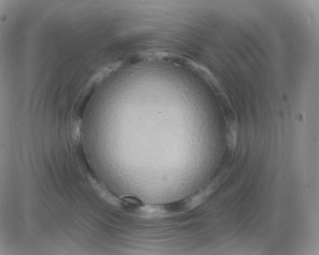 X0000083040477200702231934