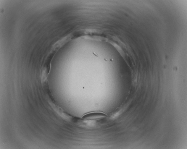 X0000083040478200702231934