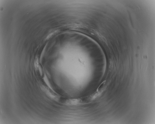 X0000083040479200702231934